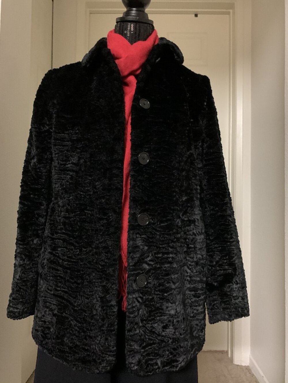 Chinchilla Coat- not real